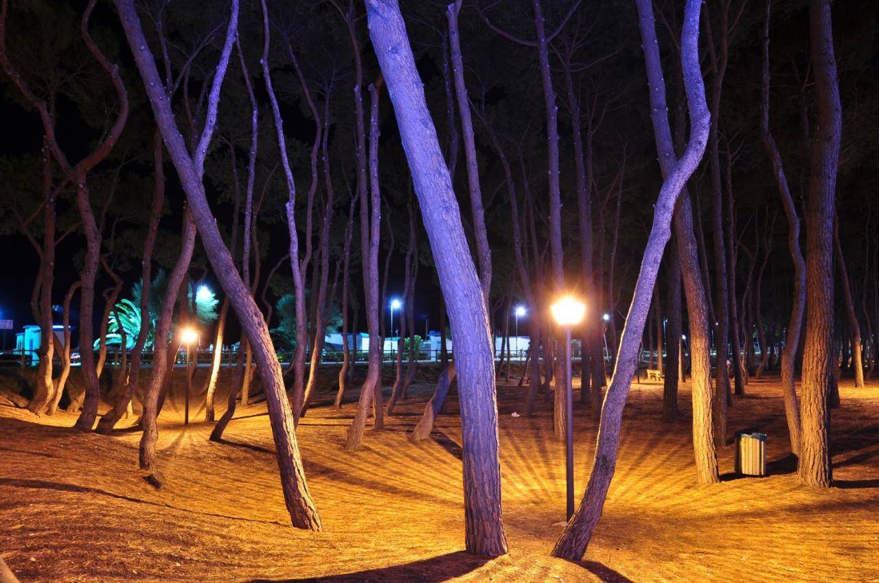 Ostello La Stazione Alba Adriatica Εξωτερικό φωτογραφία